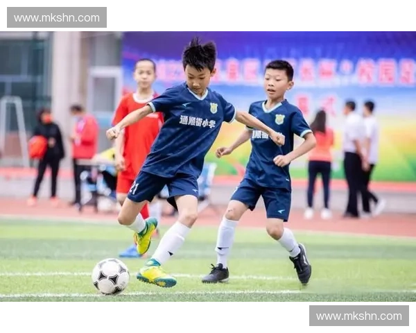 马其他足球联赛全面解析探秘岛国绿茵竞技的独特魅力与发展趋势